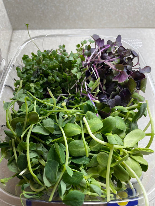 Microgreens Sampler 4 oz